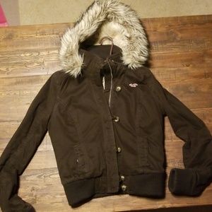 Hollister M brown coat